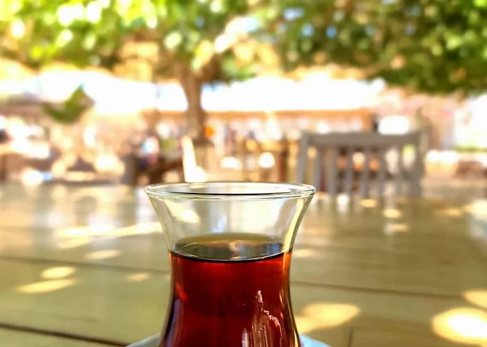 Otel Kefi & Ortakent