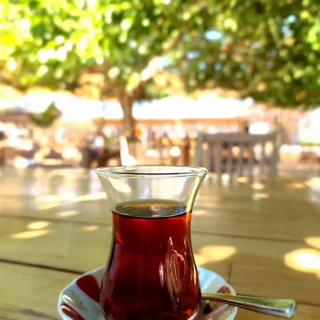 Hotel Kefi & Ortakent