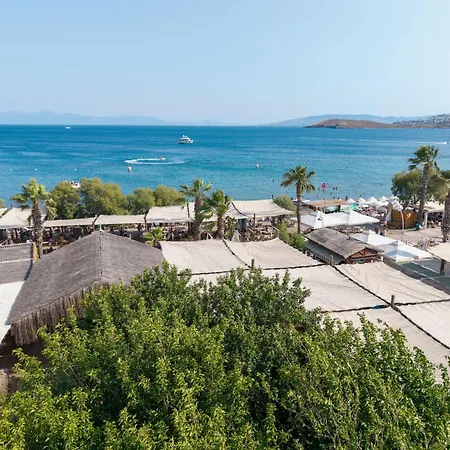 Kefi & Otel Ortakent