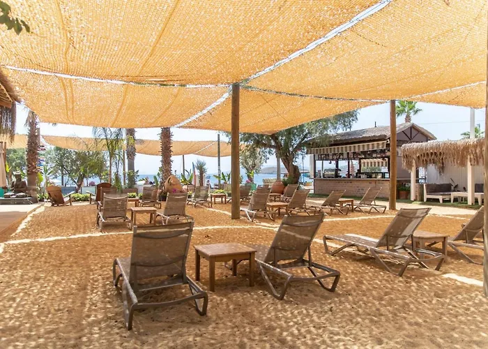 Kefi & אורטקנט